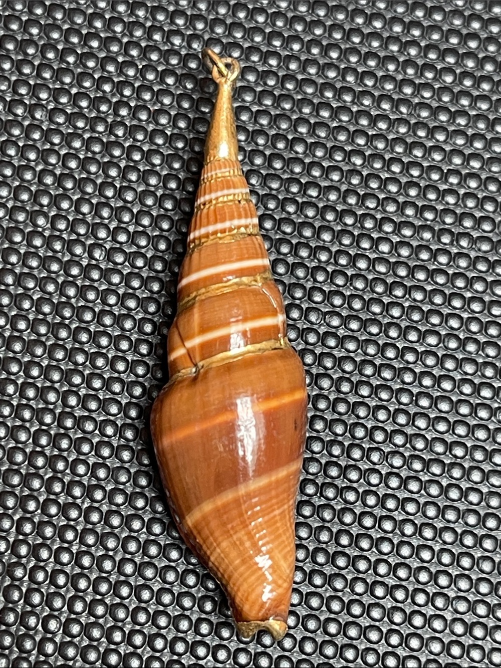 Vintage natural brown seashell pendant with gold trim - 2.75” long